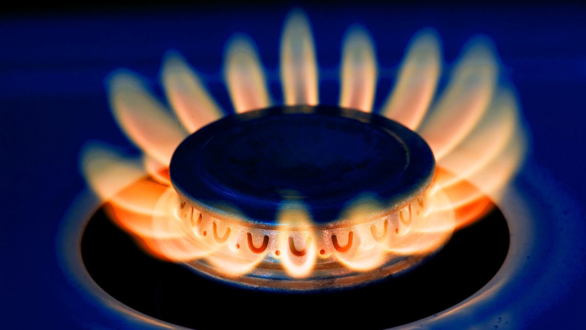 fornitore energia e gas fornitore energia e gas